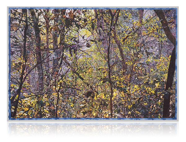 fine art on aluminum
