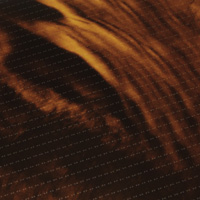 tortoise shell finish