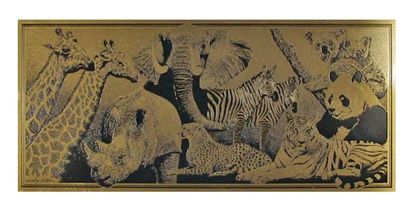 zoo animals etched brass plaque