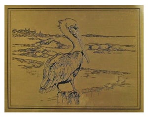 pelican etched brass