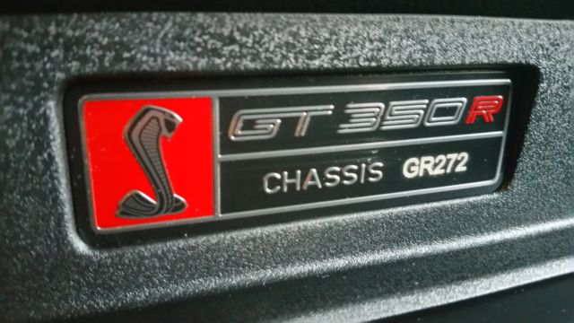 custom emboss and color matched aluminum emblem